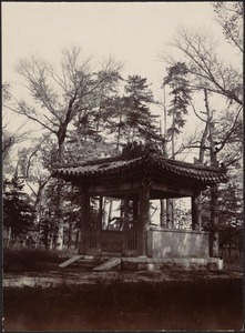 Shrine in wooded area