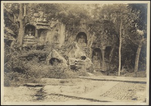 Overgrown shrine with many buddhas carved into cliff face (niches), possibly ruins of an ancient temple