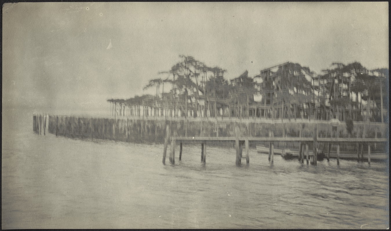 Blurry photo of long pier with two people standing on it; tall trees in background