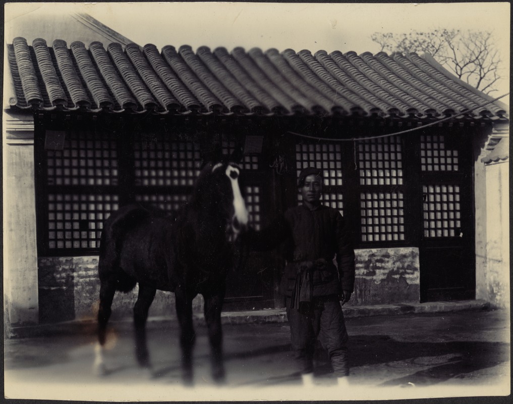 House in Peking, China — Chinese man holding horse in stable yard