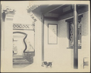 House in Peking, China — Courtyard and passageway to keyhole garden door; small dog
