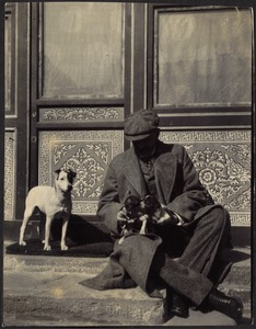 House in Peking, China — Unidentified man holding two small puppies in lap on doorstep in main courtyard; small white terrier on his left