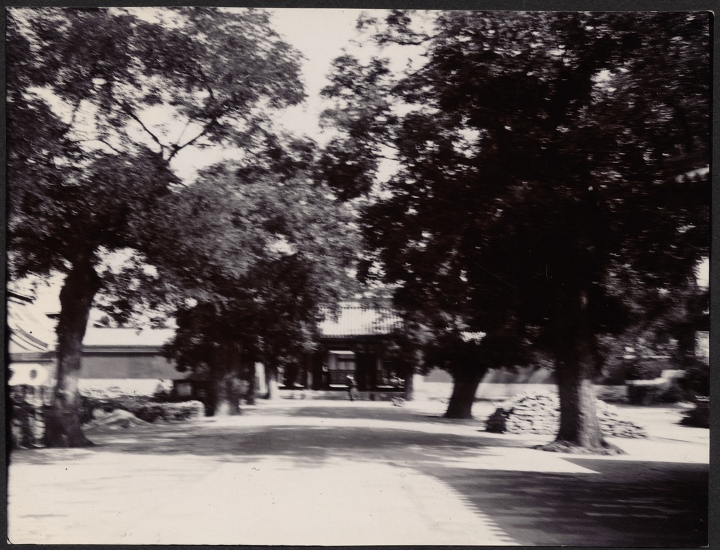 Pathway to building entrance, possibly a temple