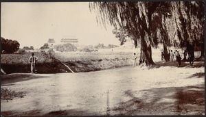 Villagers gathered near open field with weeping willow trees; buildings in distance