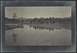 Lake with lily pads and footbridge near houses; mountains in distance