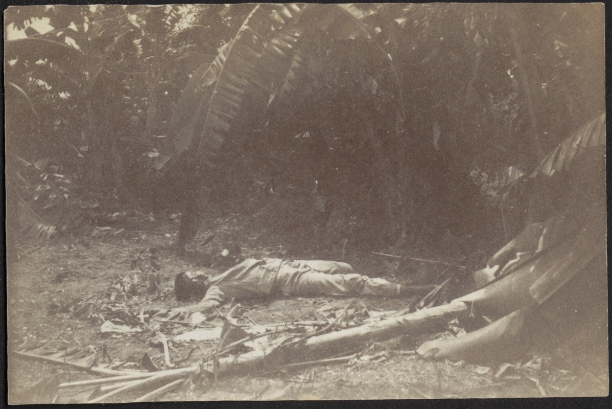 Dead man in forest clearing (palm trees)