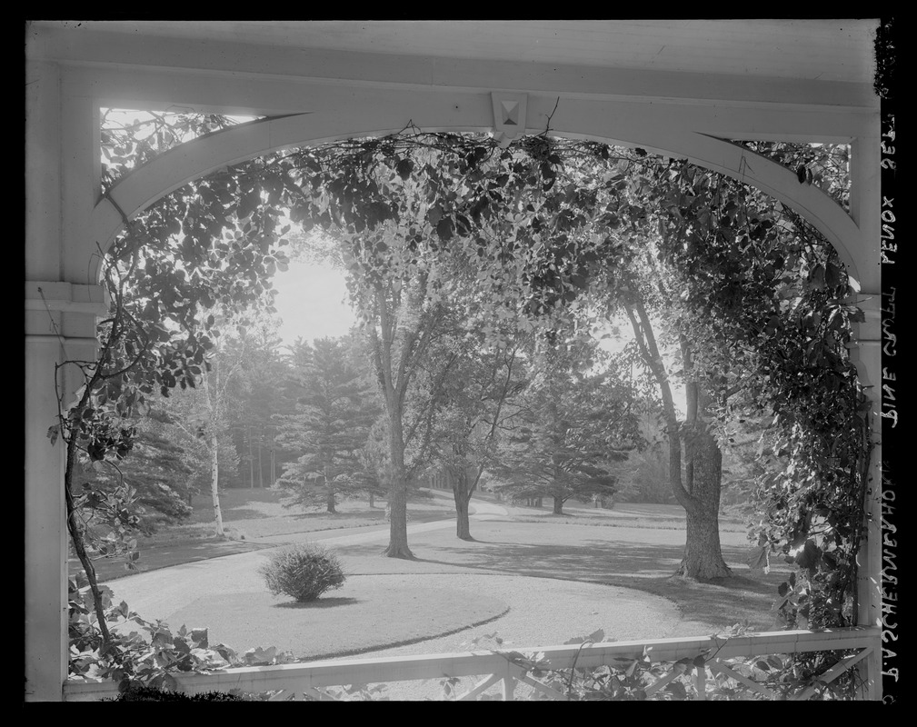 Pinecroft: grounds (framed by porch)