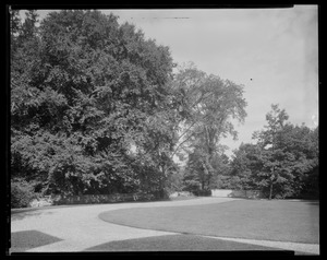 Groton Place: landscape