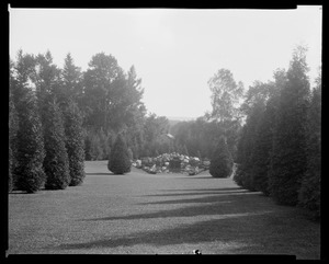 Groton Place: rock pool landscape