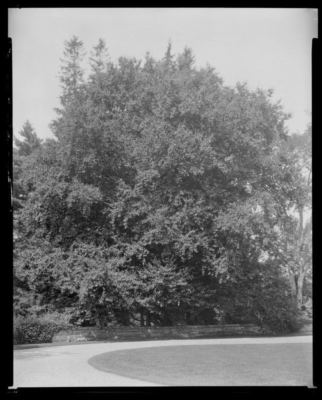 Groton Place: balustrade landscape