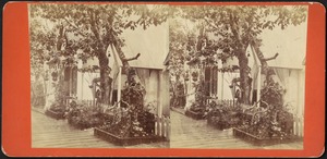 Exterior view of cottages, with trees and plants at the entrance
