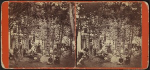 Large group of people, seated and standing, some socializing, with cottages in the background