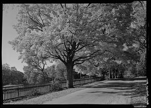 North Andover, autumn