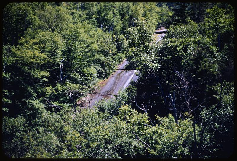 View from tramway, N. H.