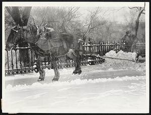 Old Dobbin still comes in mighty handy clearing sidewalks of heavy snow. Here is an old-fashioned but still very useful horseplow in action on the Beacon street side of the Public Garden.