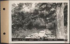 Contract No. 21, Portion of Ware-Belchertown Highway, Ware and Belchertown, land of Joseph F. Dyer, Plan No. S-5 Ware, Mass., Jul. 23, 1931