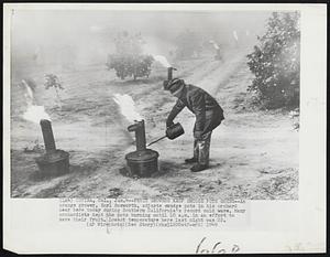 Fruit Growers Keep Smudge Pots Going--An orange grower, Earl Bosworth, adjusts smudge pots in his orchard near here today during Southern California's record cold wave. Many orchardists kept the pots burning until 10 a.m. in an effort to save their fruit. Lowest temperature here last night was 22.
