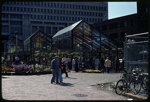 Faneuil Hall greenhouse