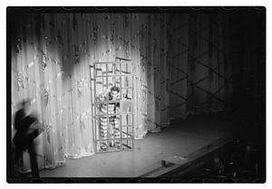 Follies