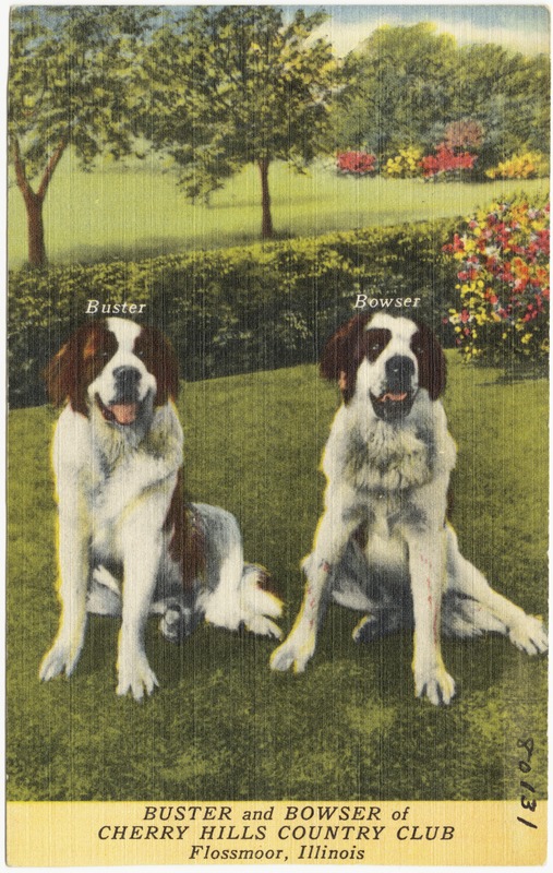 Buster and Bowser of Cherry Hills Country Club, Flossmoor, Illinois