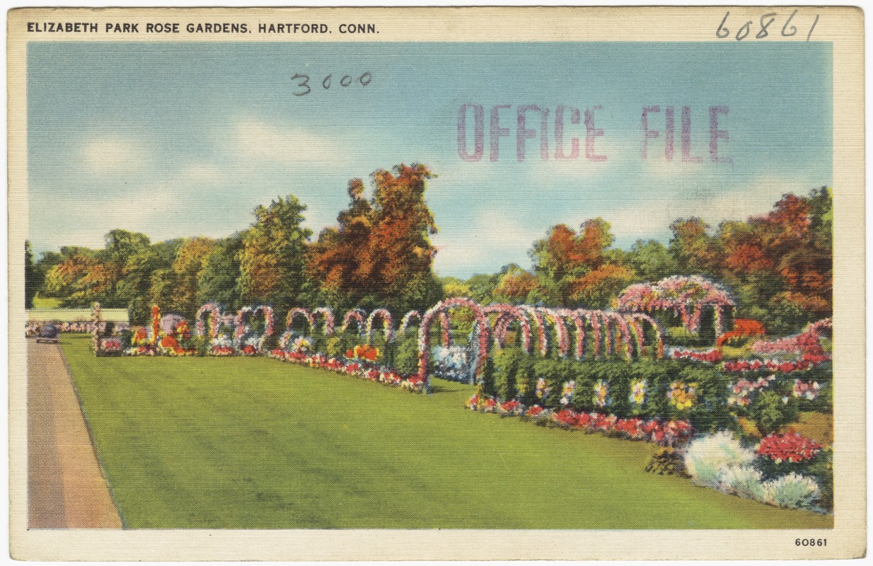 Elizabeth Park Rose Gardens, Hartford, Conn.