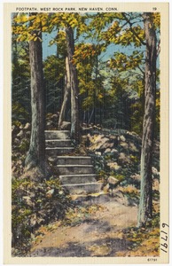 Footpath, West Rock Park, New Haven, Conn.