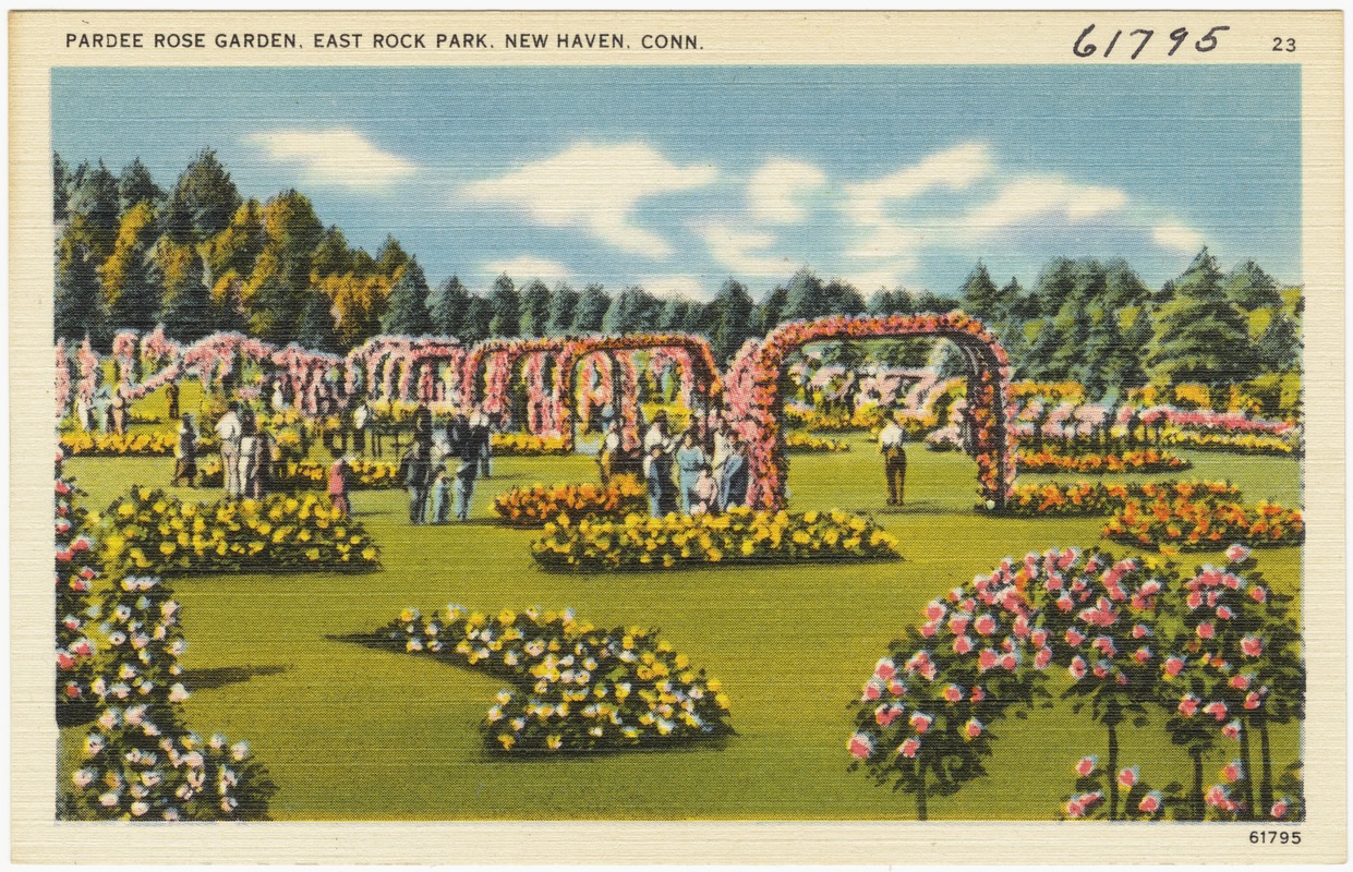 Pardee Rose Garden, East Rock Park, New Haven, Conn.