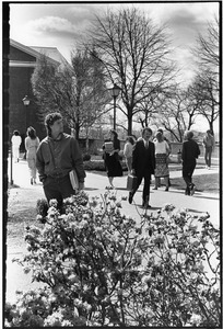 Outdoor campus scene Spring 1984