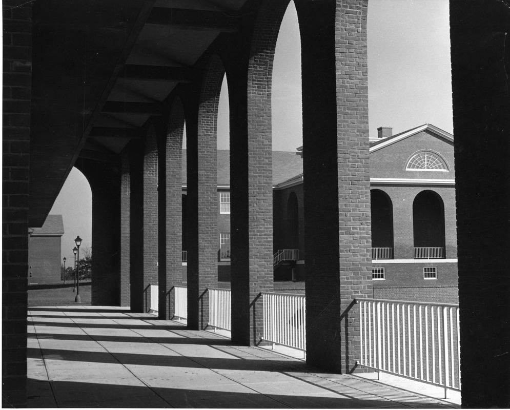 View of campus under arches