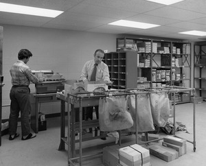 Employees sort mail in mail room
