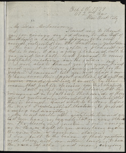 Letter from Elizabeth L. Palmer, 117 2nd Ave., New York City, [N.Y.], to William Lloyd Garrison, Feb. 6th, 1879