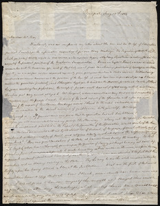 Letter from S. Alfred Steinthal, Bridgewater, [England], to Samuel May, May 19th, 1856