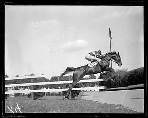 Horse jumping