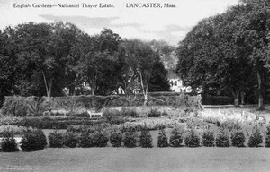 The English gardens