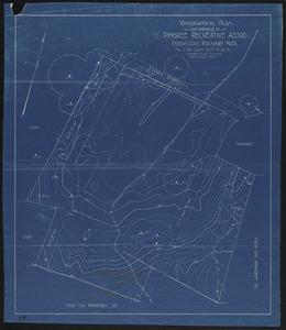 Topographical plan, land belonging to Pingree Recreative Assoc., Pigeon Cove, Rockport, Mass.