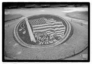 "Long may it wave" floral design