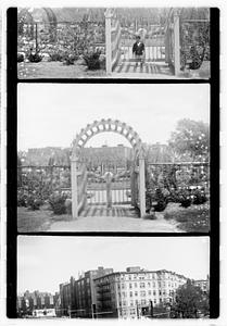 Rose garden gate, Boston