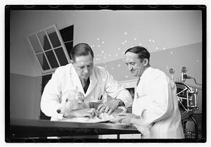 Dr. Dailey Angell Memorial Animal Hospital