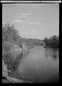 View of lake and trees