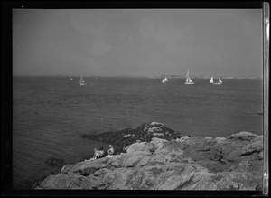View of sailboats and people on rocky outcropping