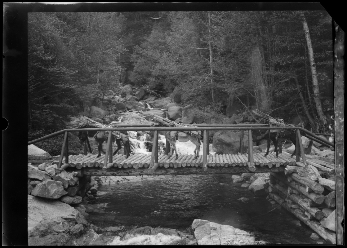 Trail bridge with pack donkeys