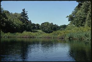 Charles River Audubon Society Reservation at Natick off Rt. 16