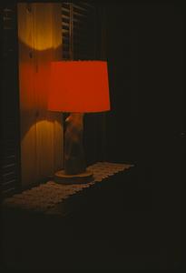 Lamp, Geo Sharkey