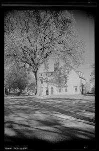 House (exterior) with large tree, Ipswich