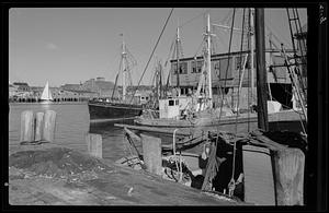The fish wharves, Gloucester
