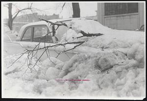 Snowed-in Car Sits on Queensbury St. in the Back Bay 10 days after the region was hit by a heavy snowstorm. Tree branches snapped off during the high winds and since the storm sporadically dropped on the hood and are still draped there.
