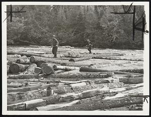 Loggers in Big Drive. It was heave and ho for loggers on the rapid river as they drove thousands of feet of timer down to Umbagog Lake, Me., Oct. 1. It was one of the year's biggest drives in New England. Here are loggers unscrambling a jam during the big push.