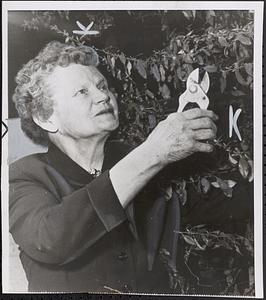 Mrs. Lavina C. Fugal