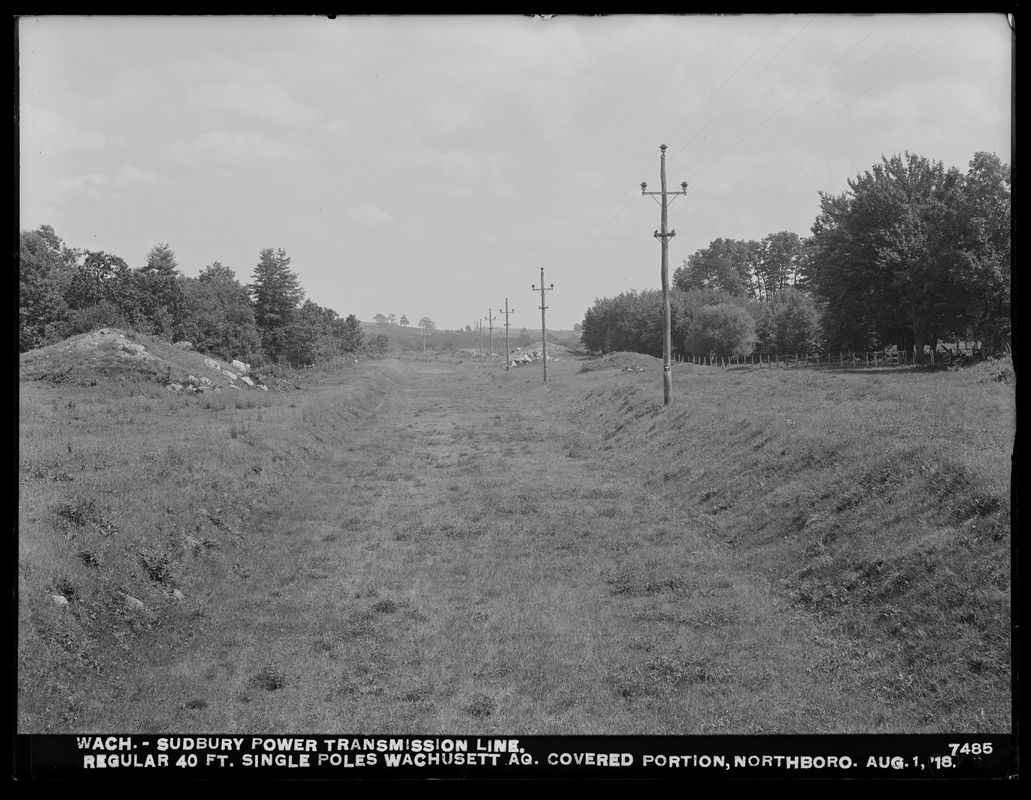 Wachusett Department, Wachusett-Sudbury power transmission line, regular 40-foot single poles, Wachusett Aqueduct, covered portion, Northborough, Mass., Aug. 1, 1918