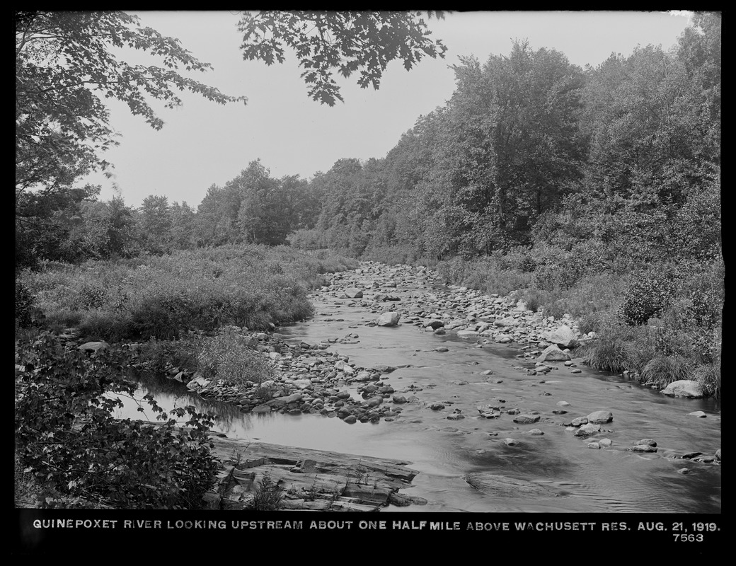 Wachusett Department, Quinapoxet River, looking upstream about one half-mile above Wachusett Reservoir, West Boylston, Mass., Aug. 21, 1919